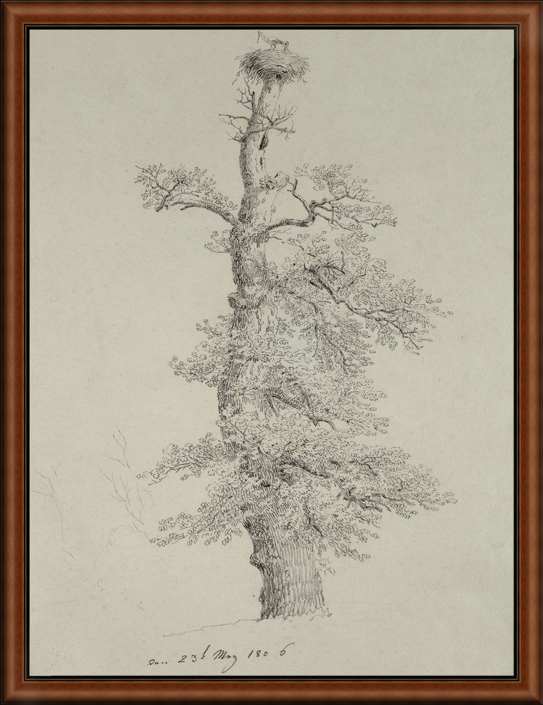 Ancient Oak Tree by Friedrich